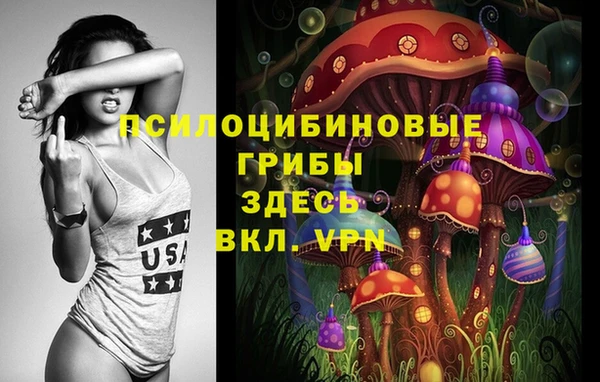 первитин Абаза