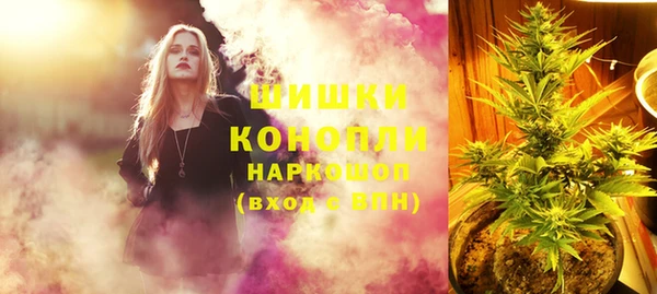 СК Абинск