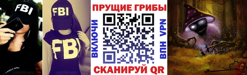 продажа наркотиков  Монино  Псилоцибиновые грибы Psilocybe 